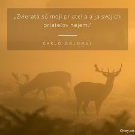 Zvieratá sú mojí priatelia a ja svojich priatelov nejem
